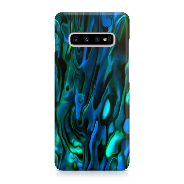 Paua Shell - Late Model For Cheap - Image 2